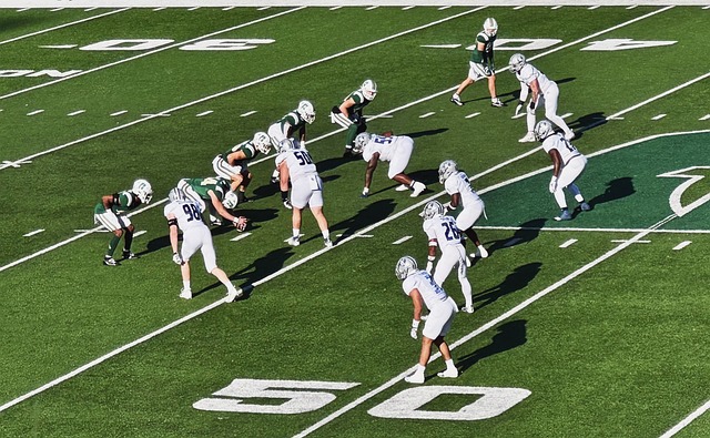 郑钦文身后无追兵！迈阿密上演学霸挑战毕业导师，保利尼冲击前四.