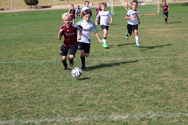 中国速度滑 中国速度滑