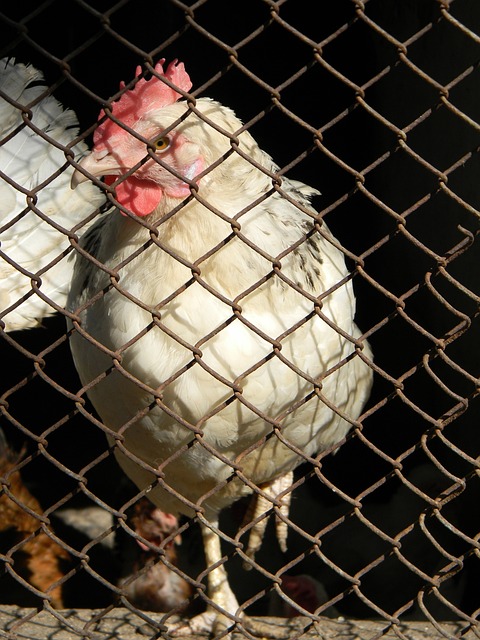 长而艰苦 长而艰苦