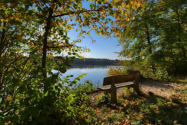 将是未来的 将是未来的