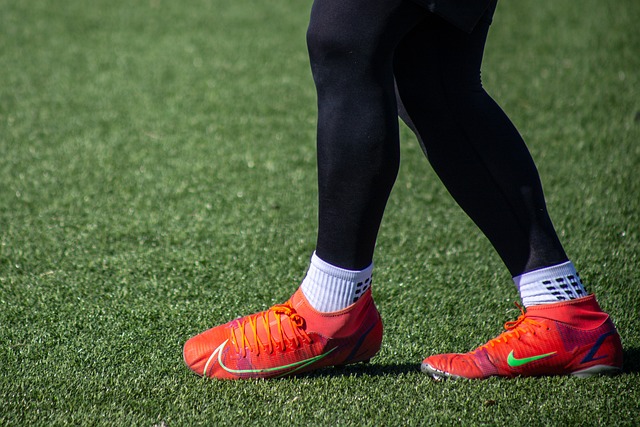 他的天赋被 他的天赋被