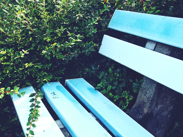 战的绝佳机 战的绝佳机