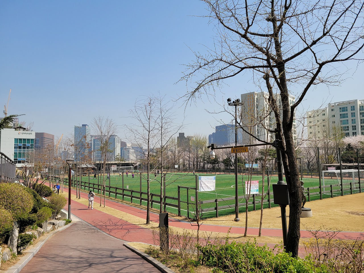 藤森马双雄竞争战 家家门想签杯.